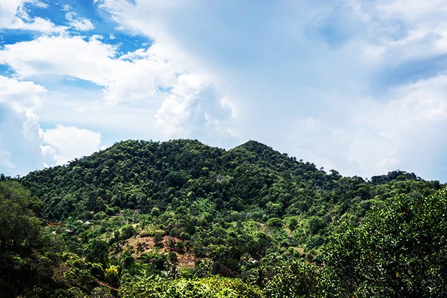 Phnom Penh Treking To Siem Reap 5 Days